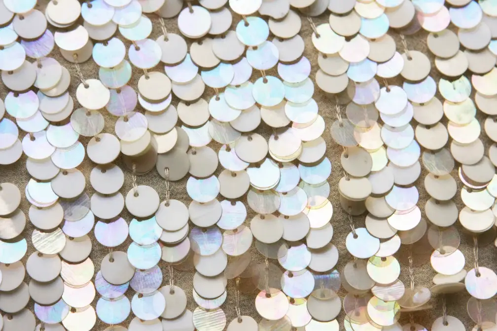 Novelty Paillettes on Silk Chiffon3