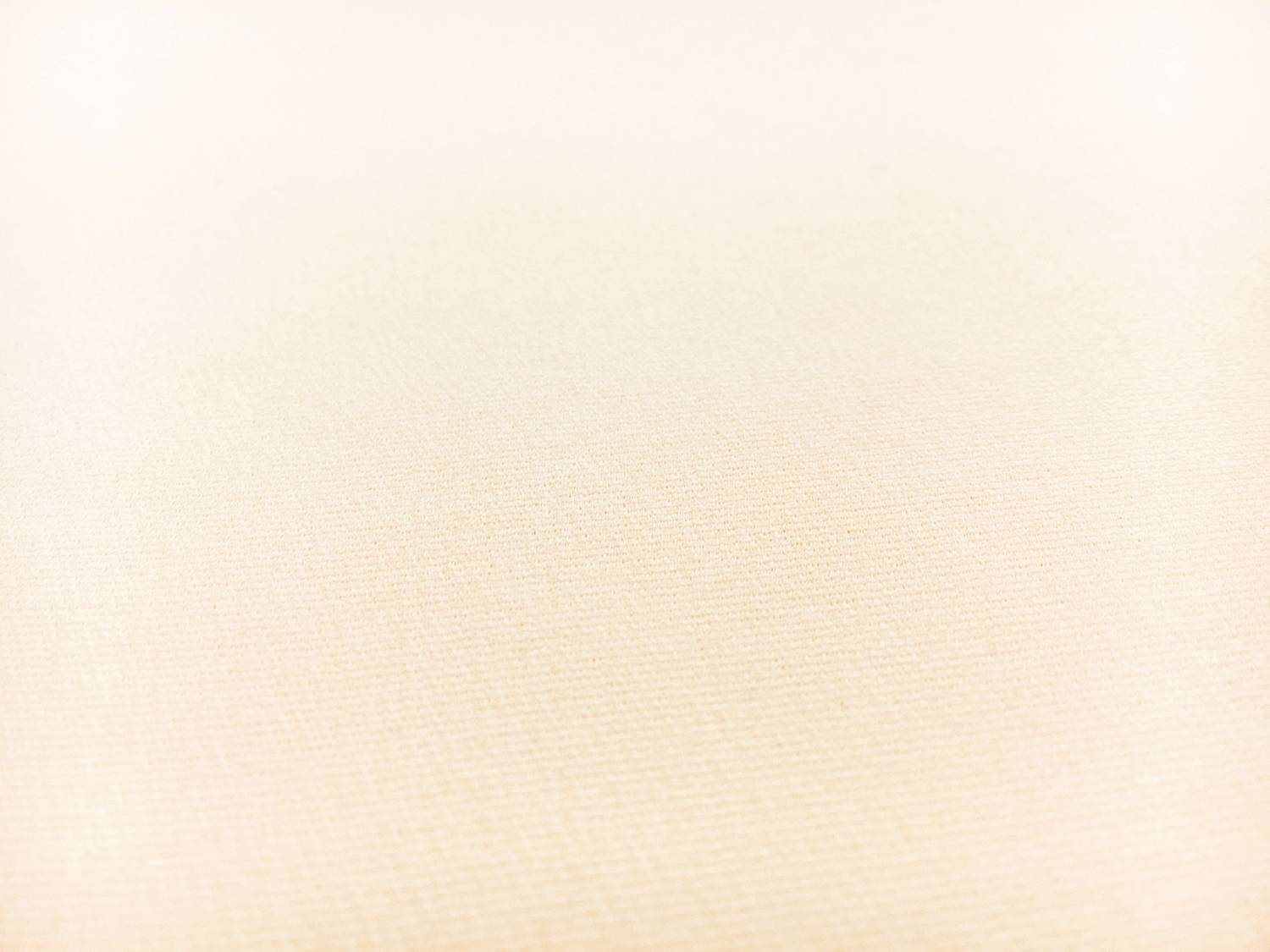 Italian Silk Marocain Crepe in Ivory1