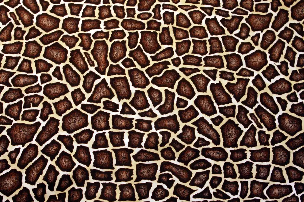 Cotton Print1