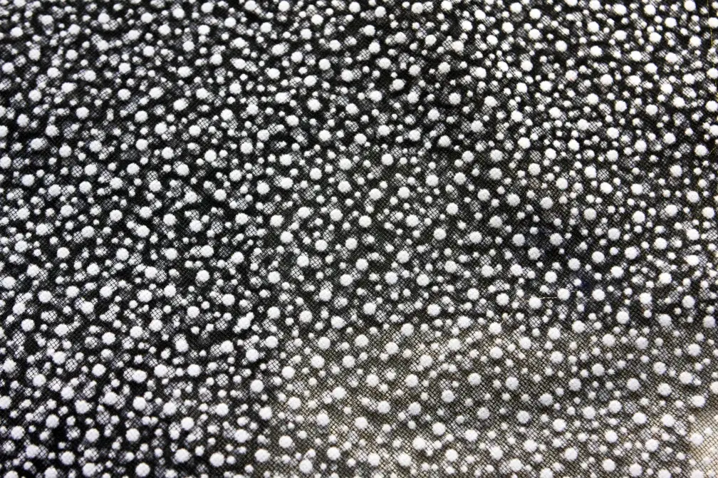 Flocking on Tulle2