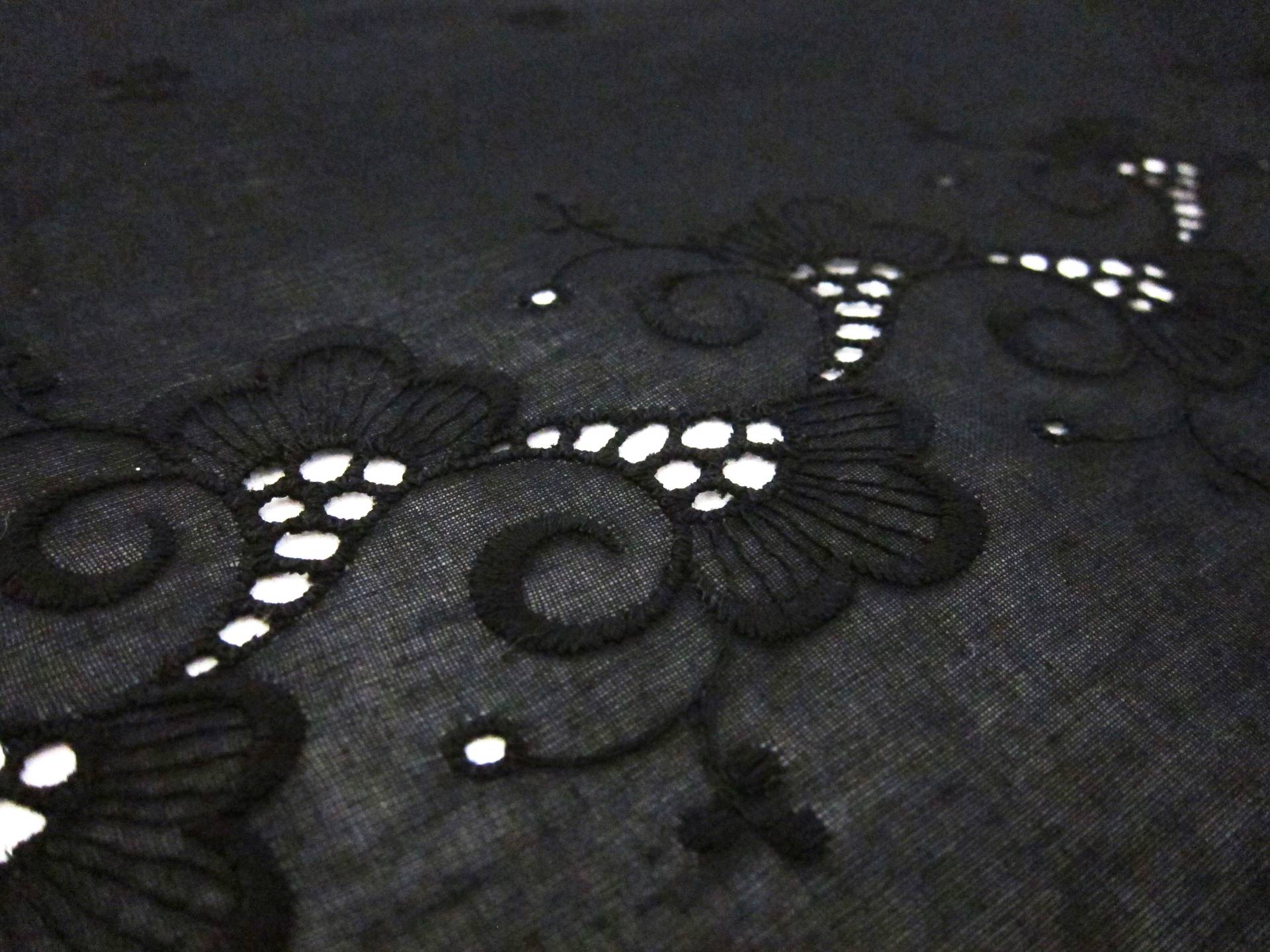 Embroidered Cotton Voile Eyelet3