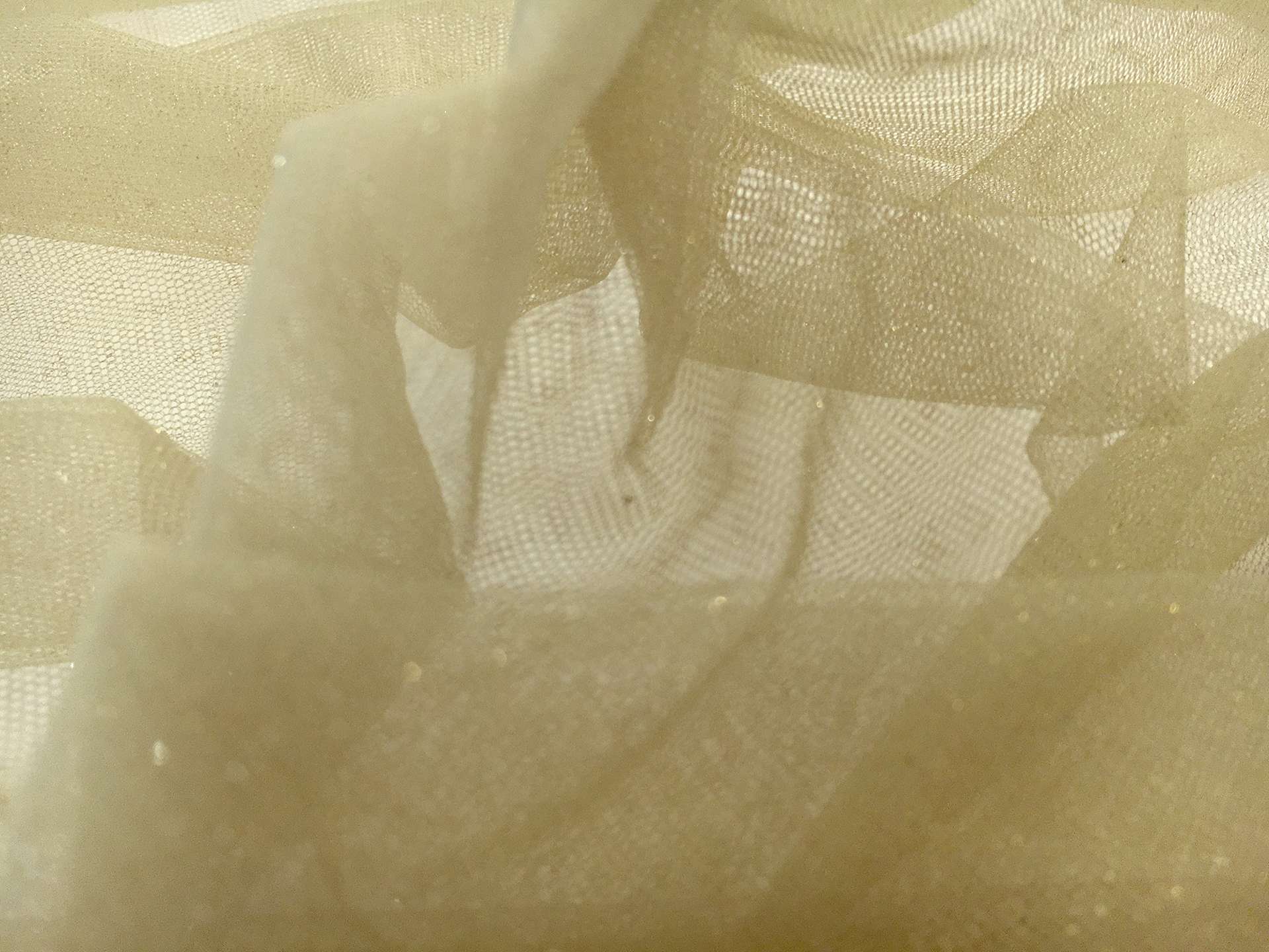 Metallic Nylon Tulle in Verdino and Gold