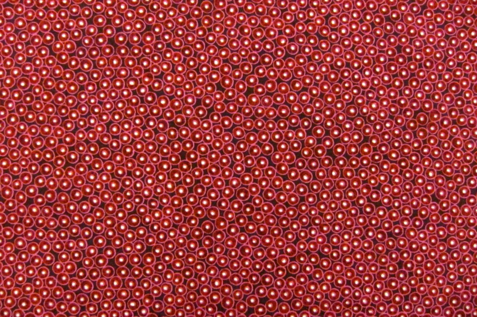 Cotton Broadcloth Print0