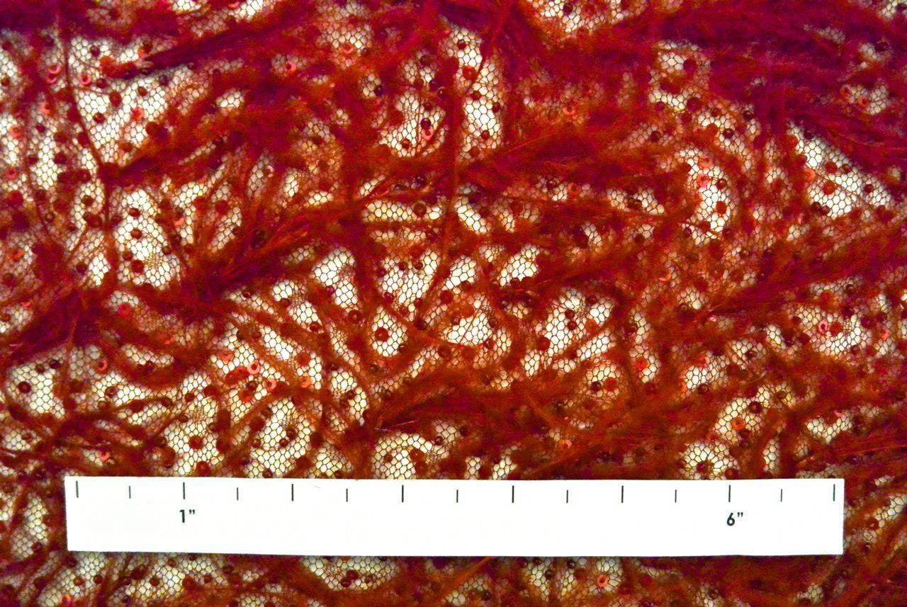 Hand Beaded Illusion With Ostrich Feather Border1