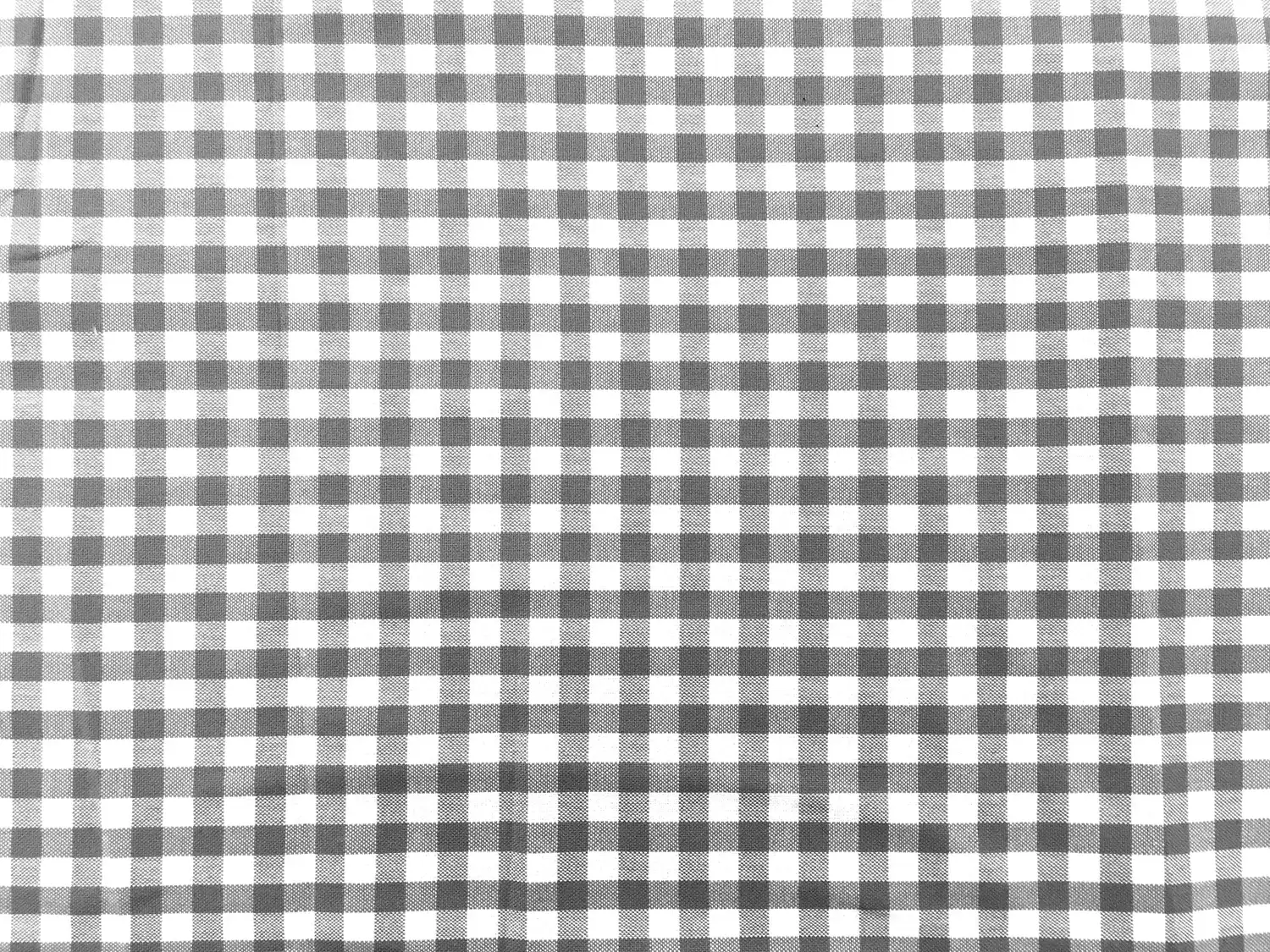 Carolina Cotton Gingham in Grey0
