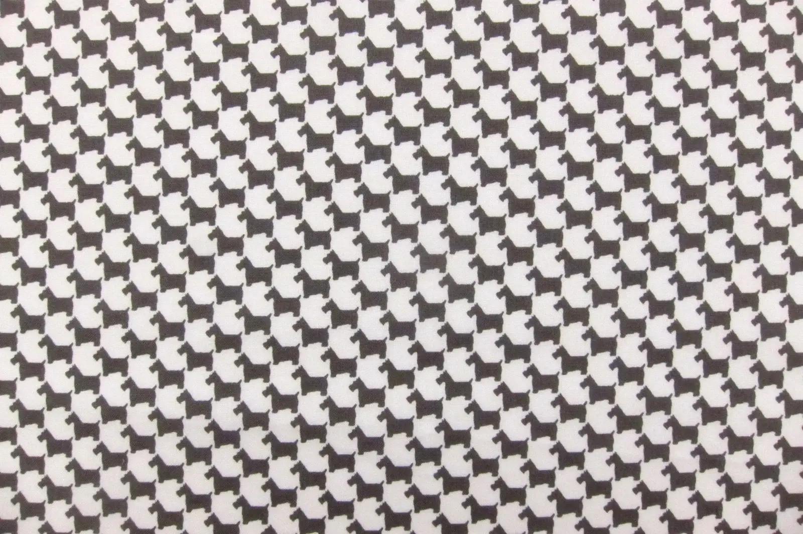 Cotton Broadcloth Print0