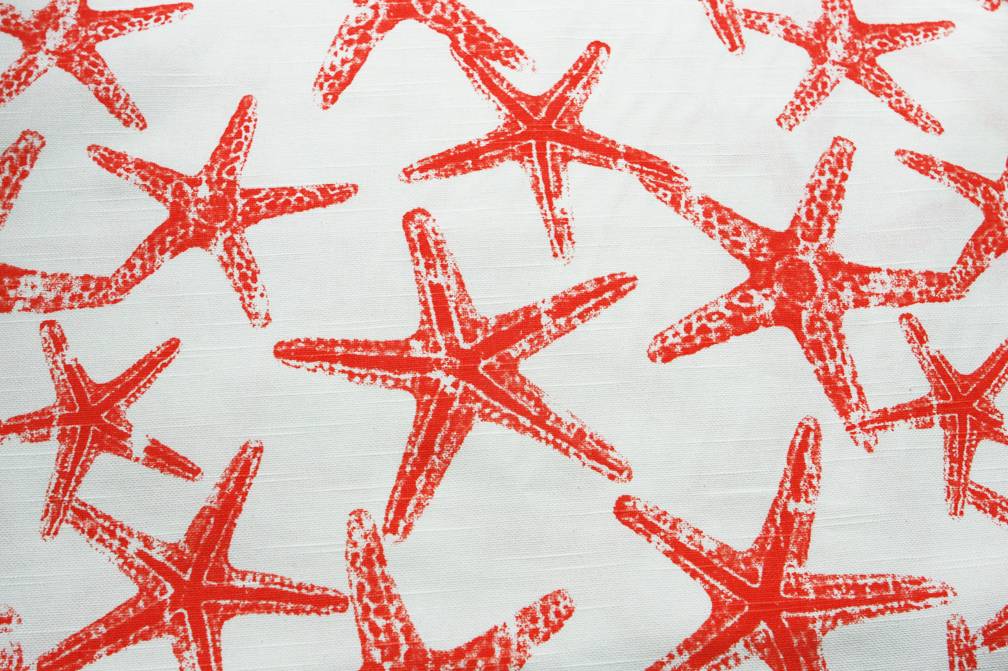 Cotton Canvas Starfish Print0