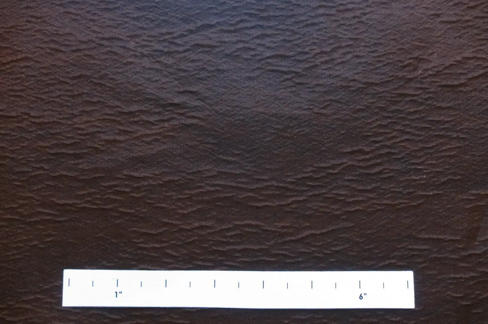 Iridescent Silk Organza Cloqué1