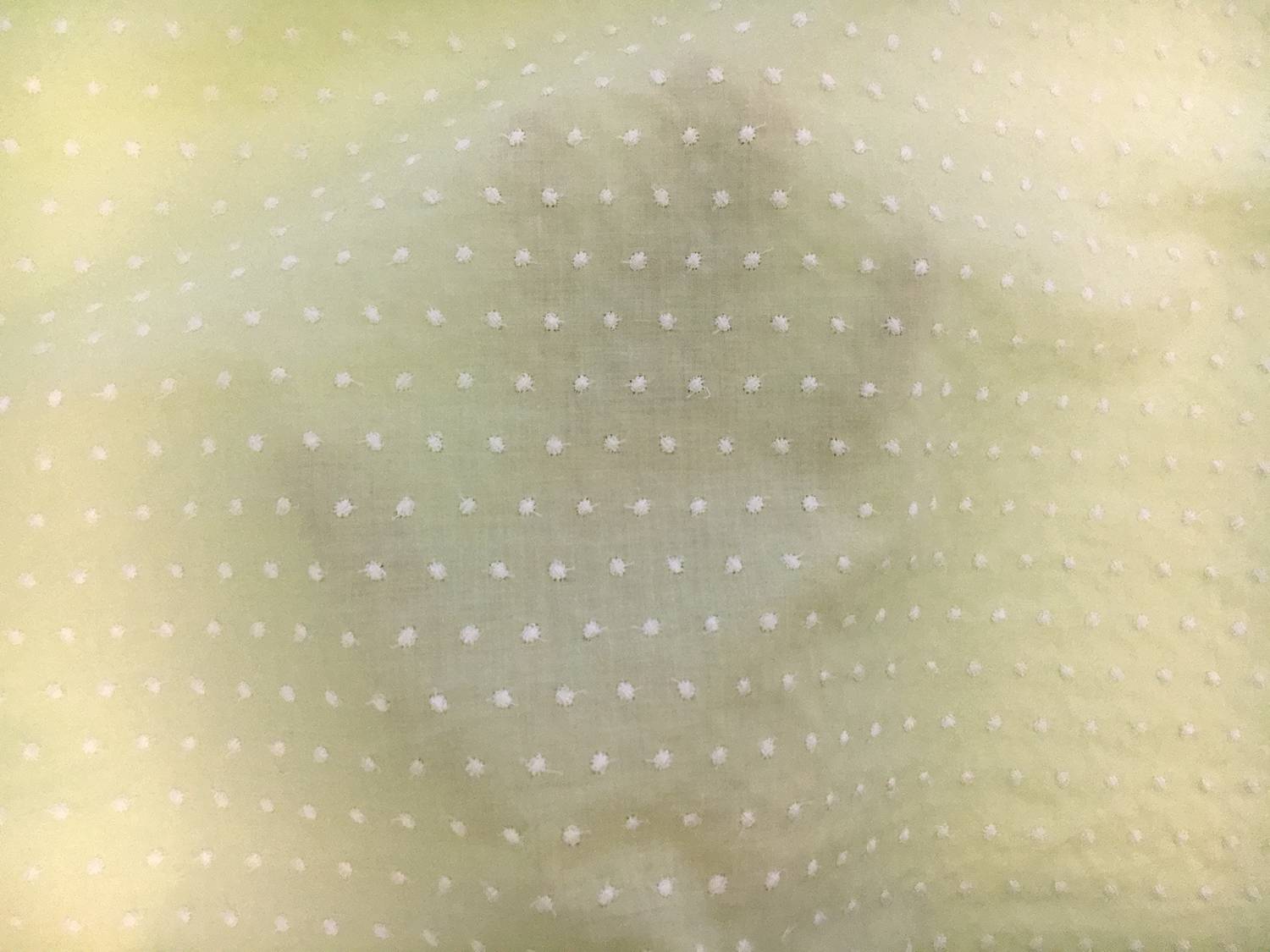 Cotton Embroidered Dots in Spring Bud2
