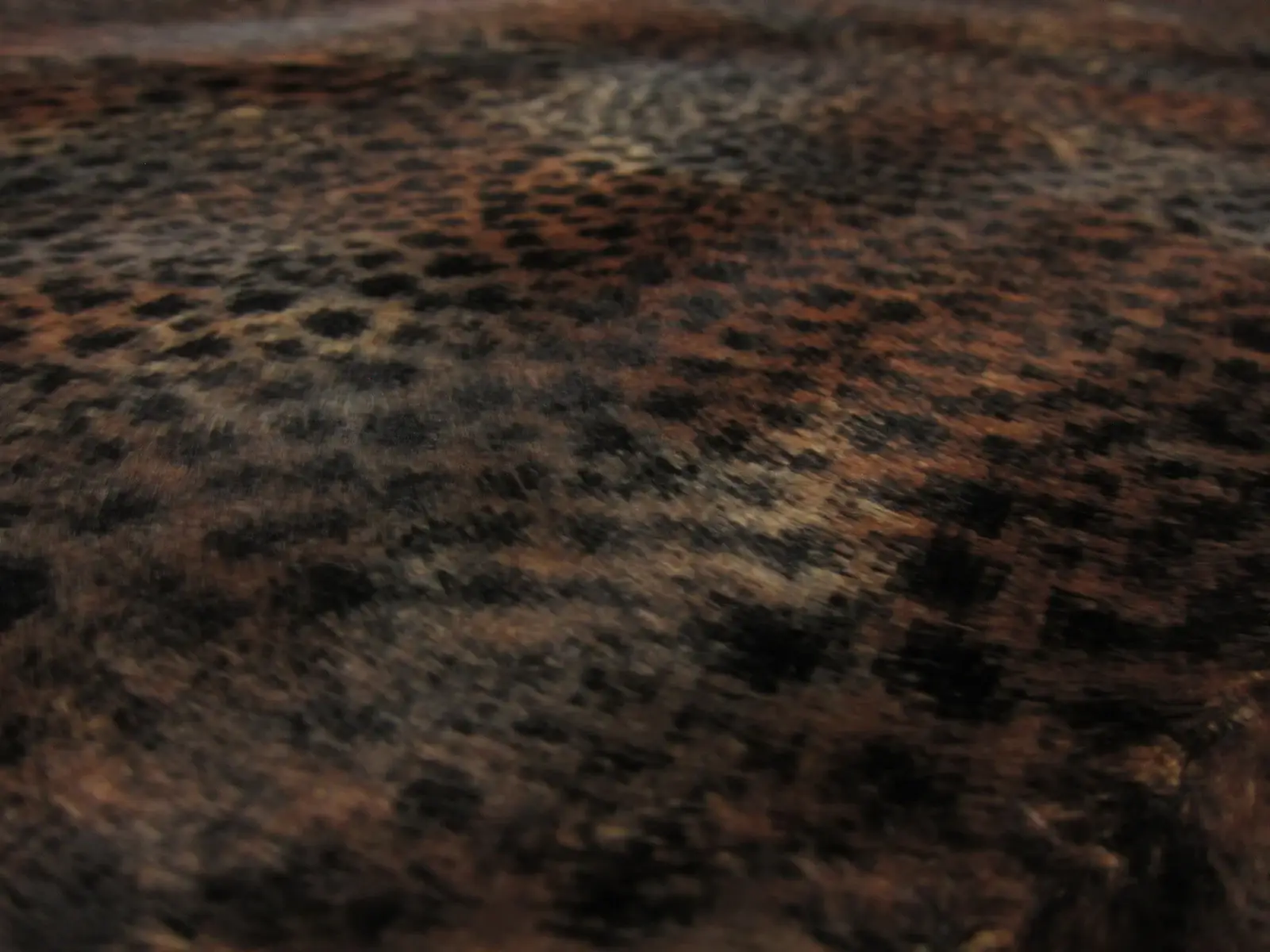 Faux Fur2