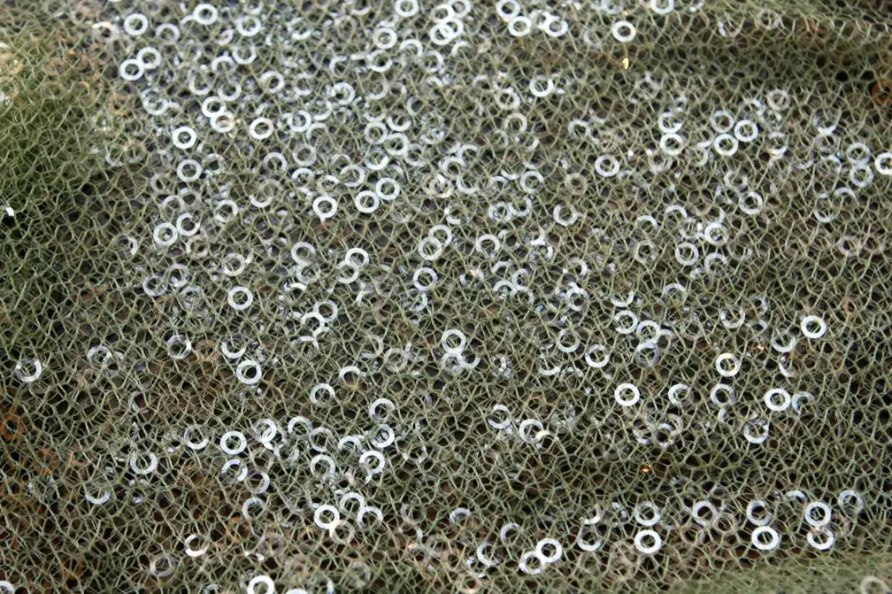 Novelty Sequins on Mesh0
