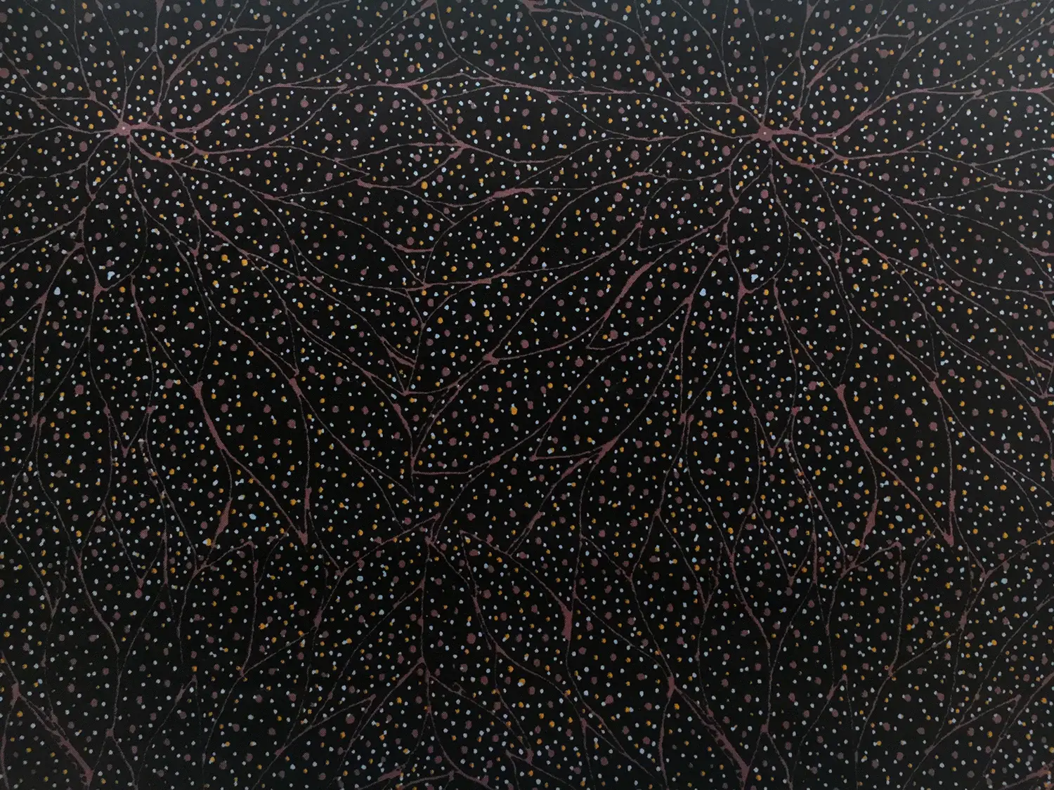 Australian Cotton Print With Aboriginal Motif0