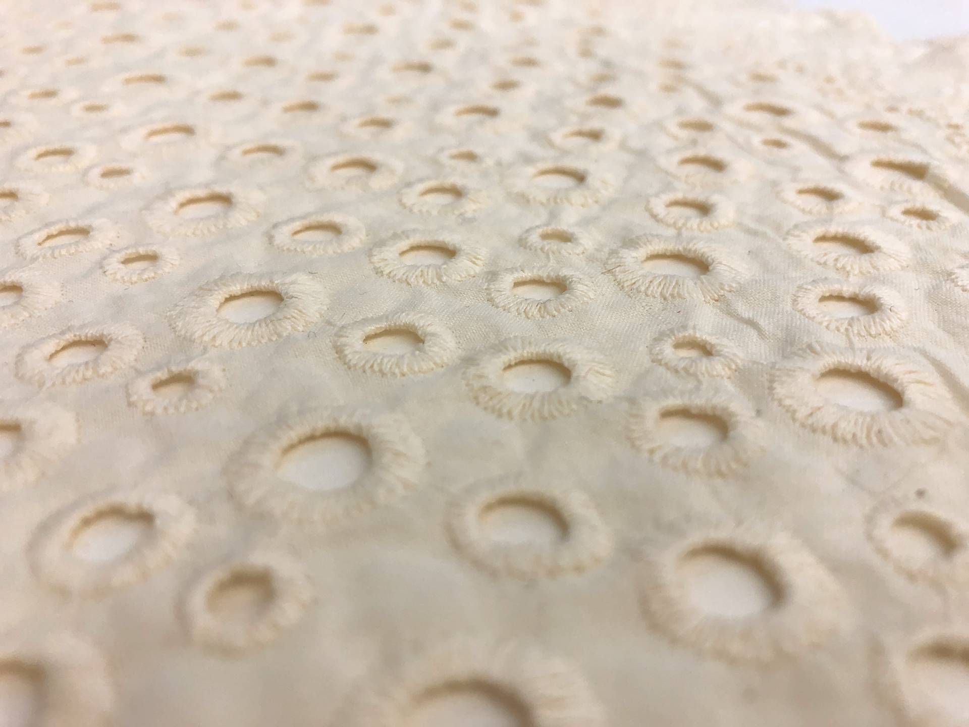 Natural Cotton Eyelet With Scalloped Edge1