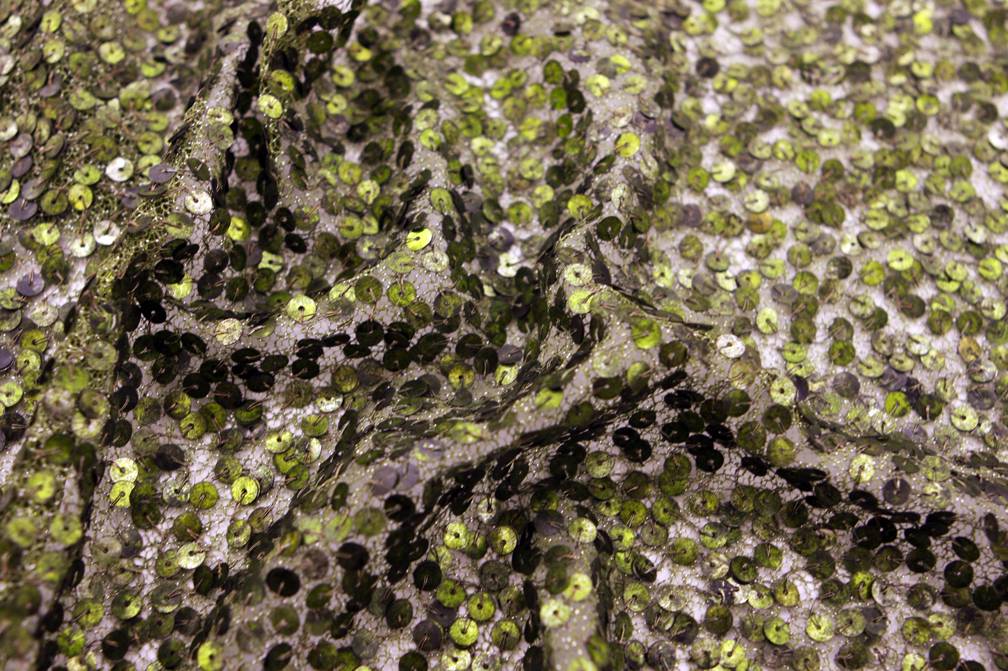 Sequins on Metallic Tulle3