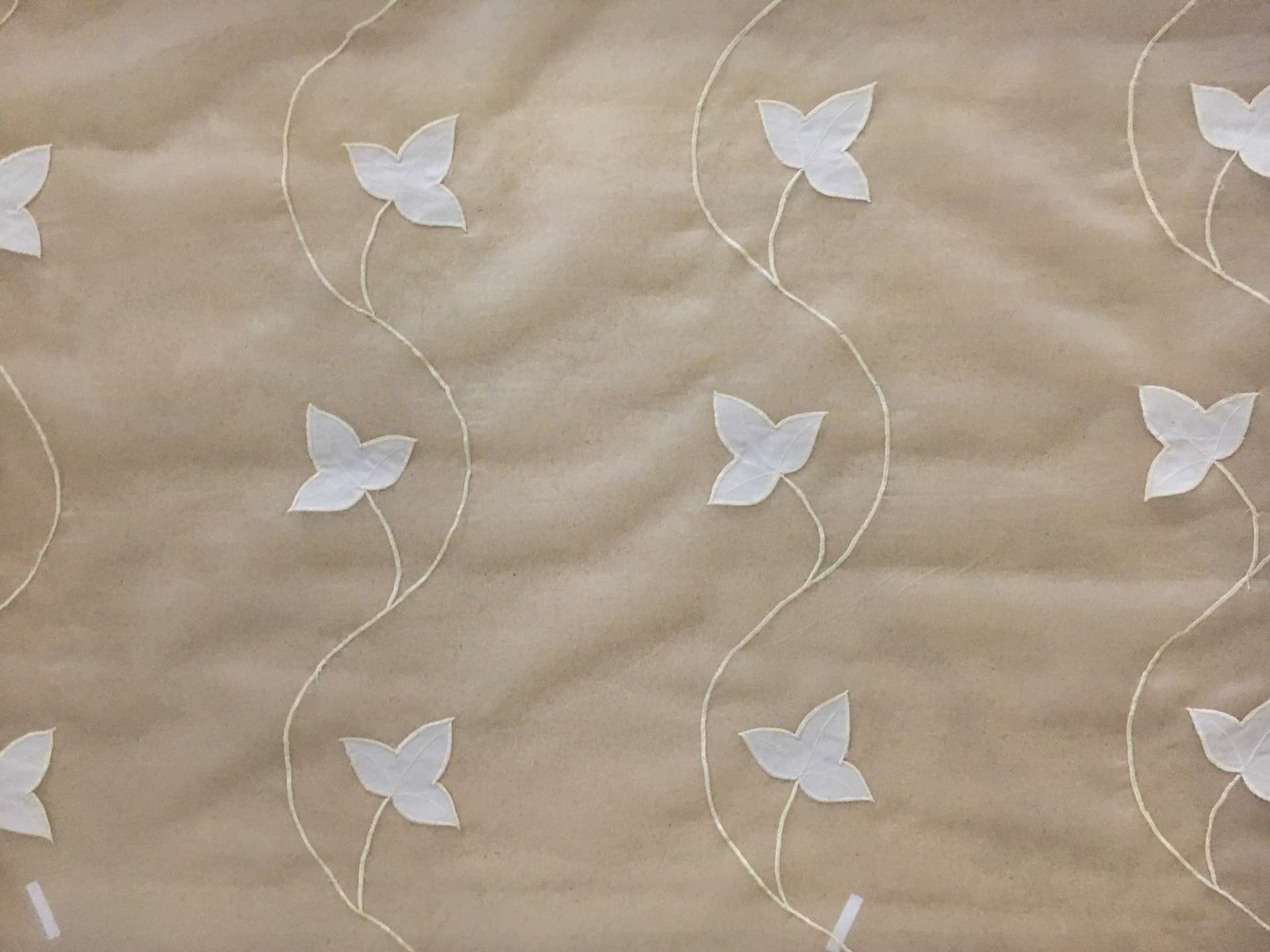 White Silk Organza Embroidered with Vines and Leaves in Cream0