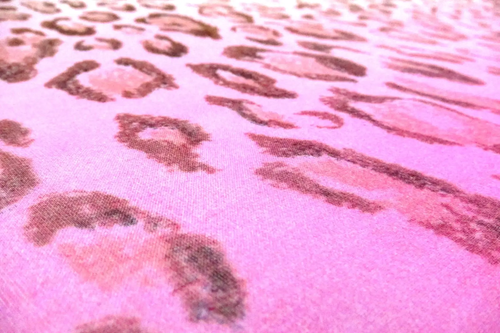 Printed Ombré Silk Chiffon Panel 2