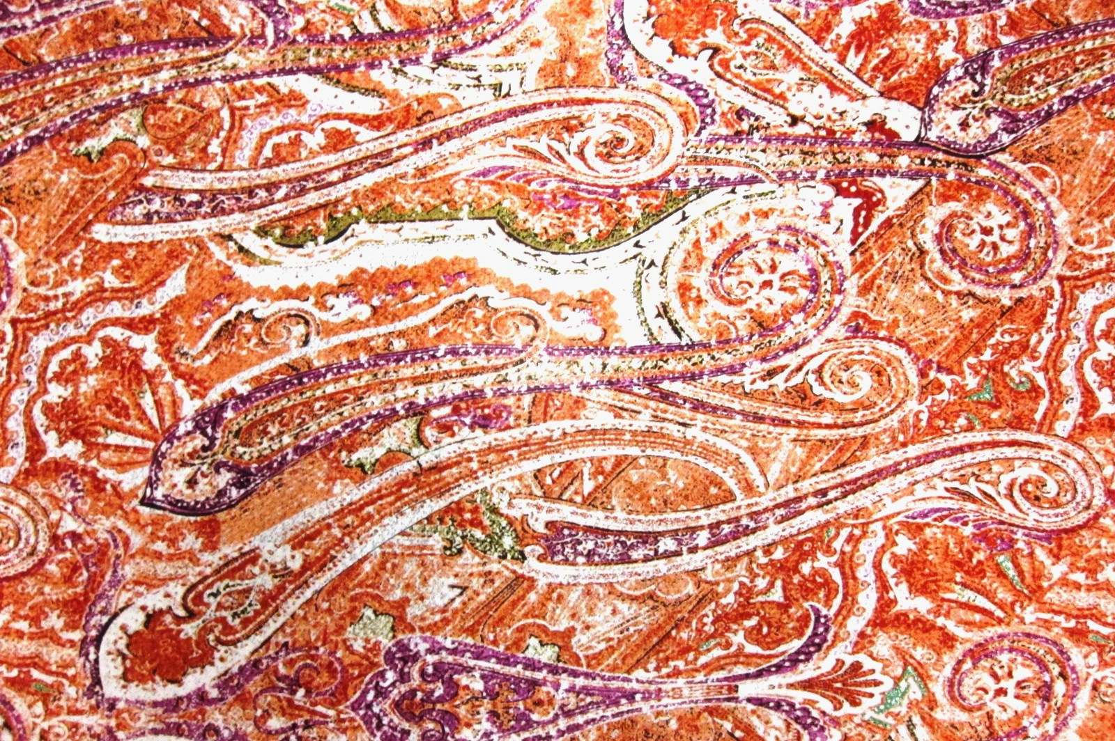 Printed Silk Charmeuse0
