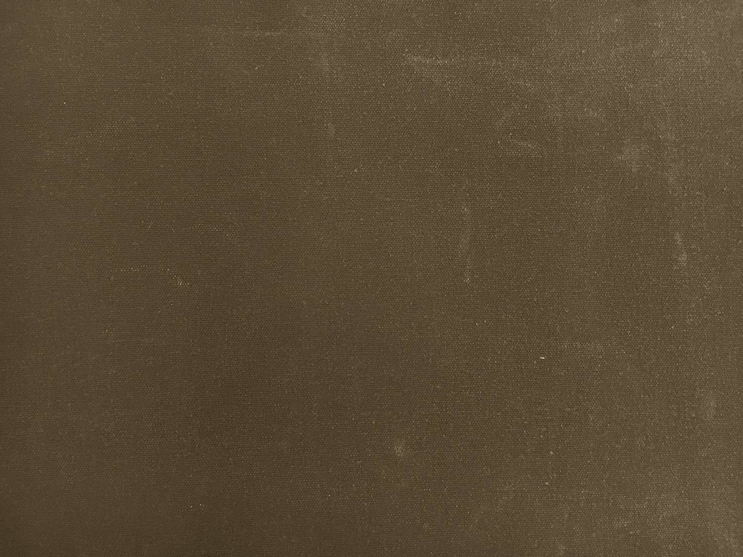 Oilcloth in Olive1
