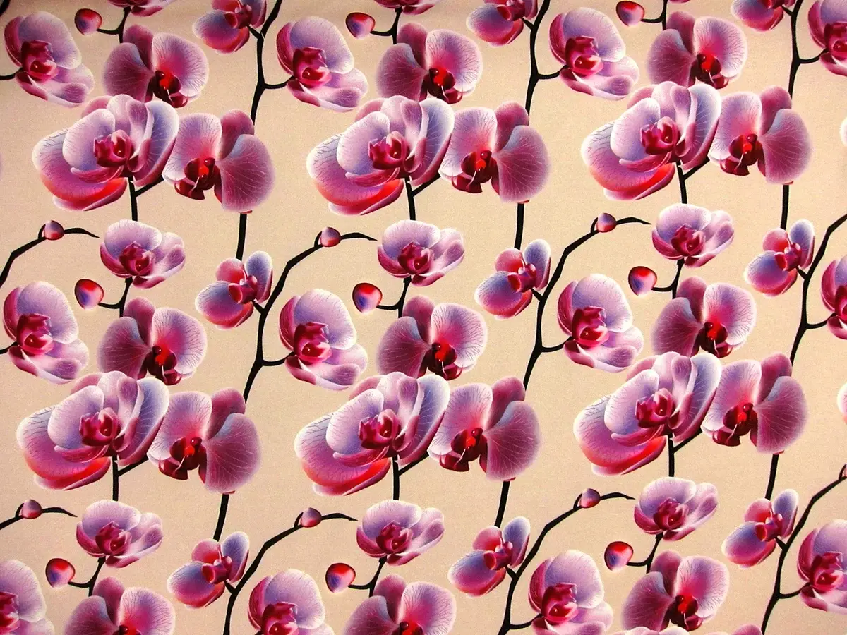 Printed 2Ply Silk Crepe0