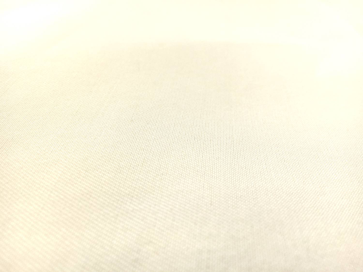 Silk and Wool in Silk White1