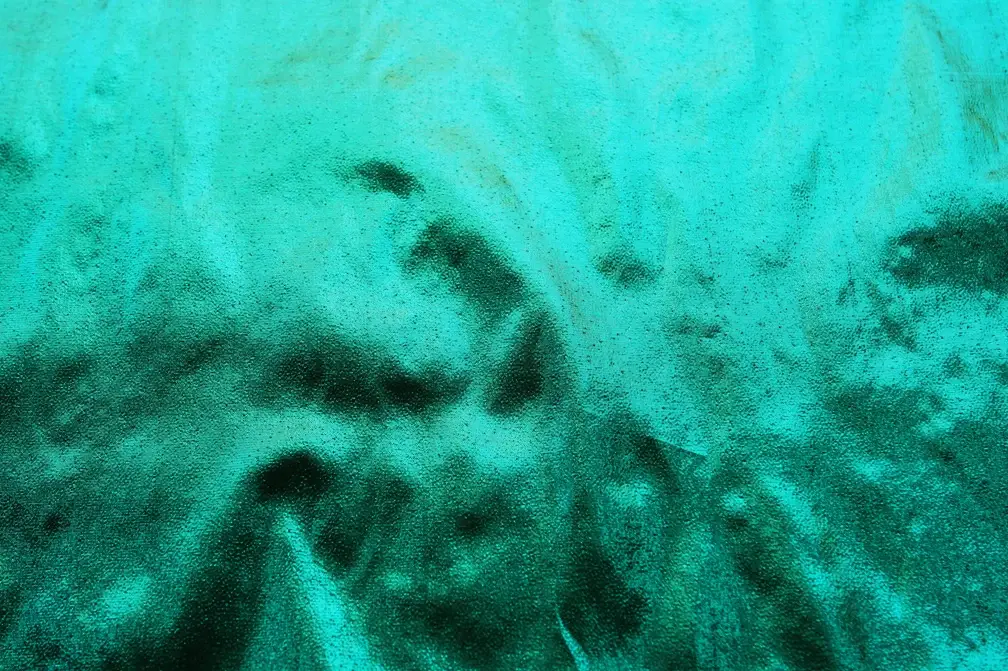 Tissue Lamé in Pine0