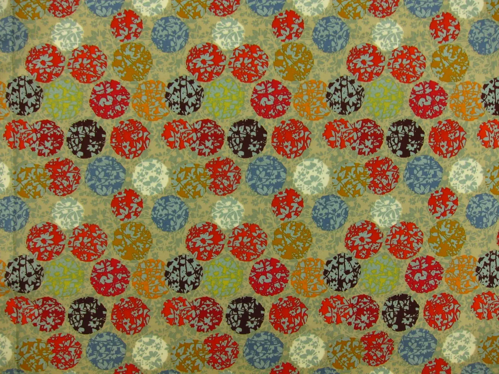 Cotton Broadcloth Print0