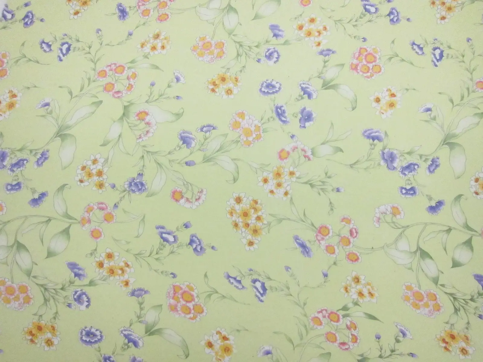 Printed Silk Chiffon1
