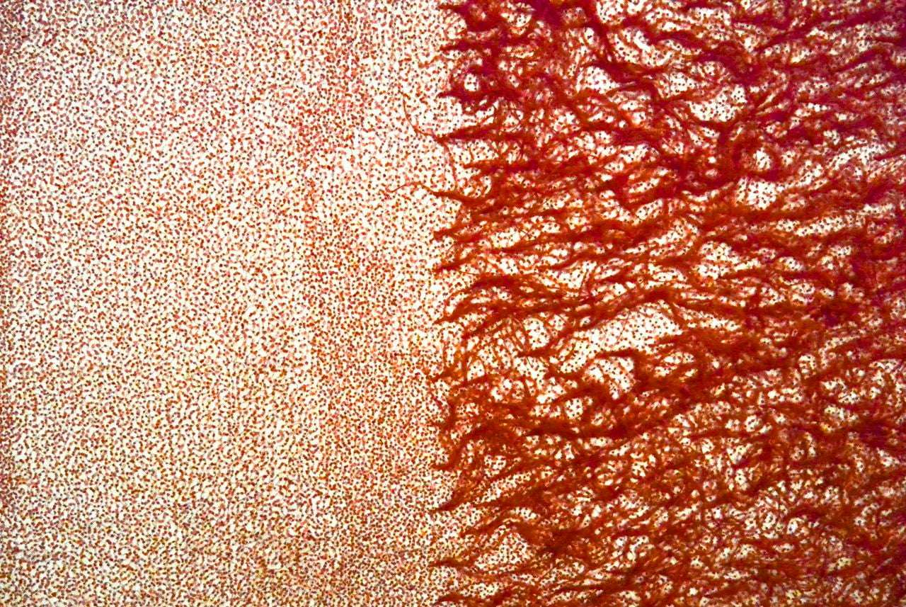 Hand Beaded Illusion With Ostrich Feather Border0
