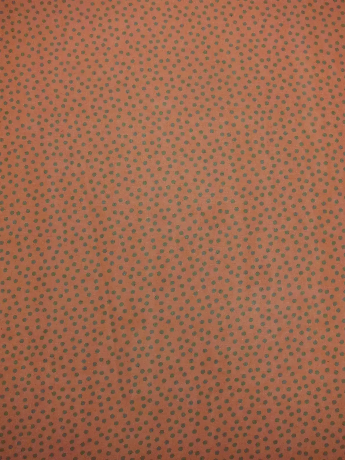 Printed Silk Chiffon1