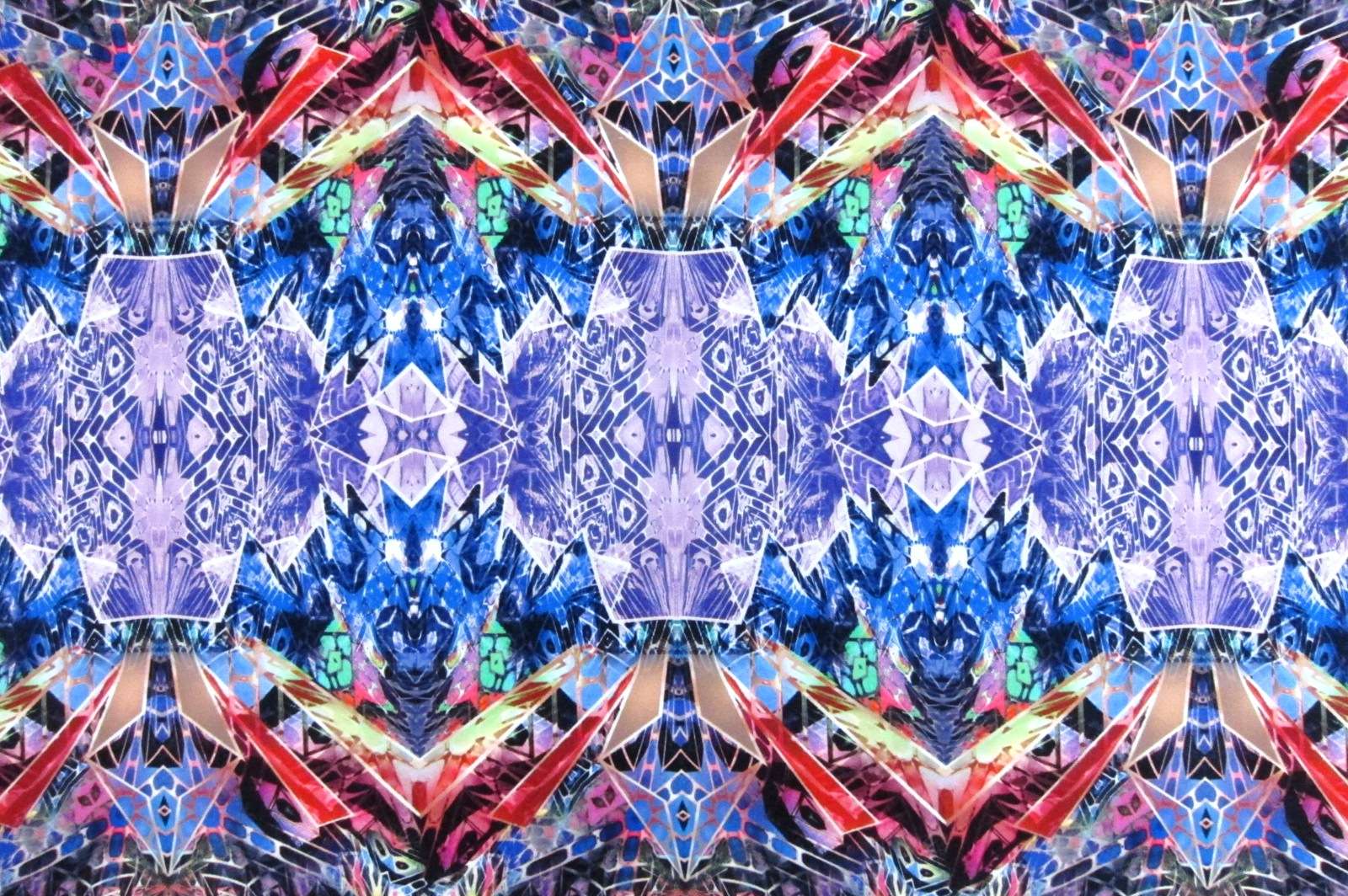 Printed Silk Charmeuse0