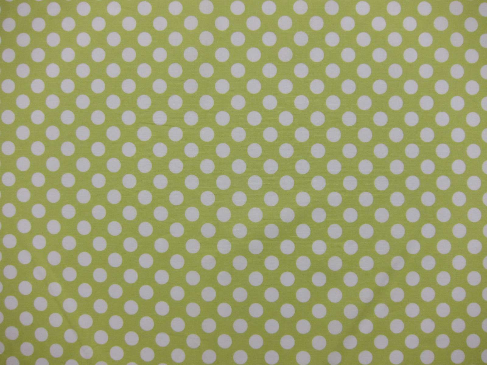 Cotton Broadcloth Print0