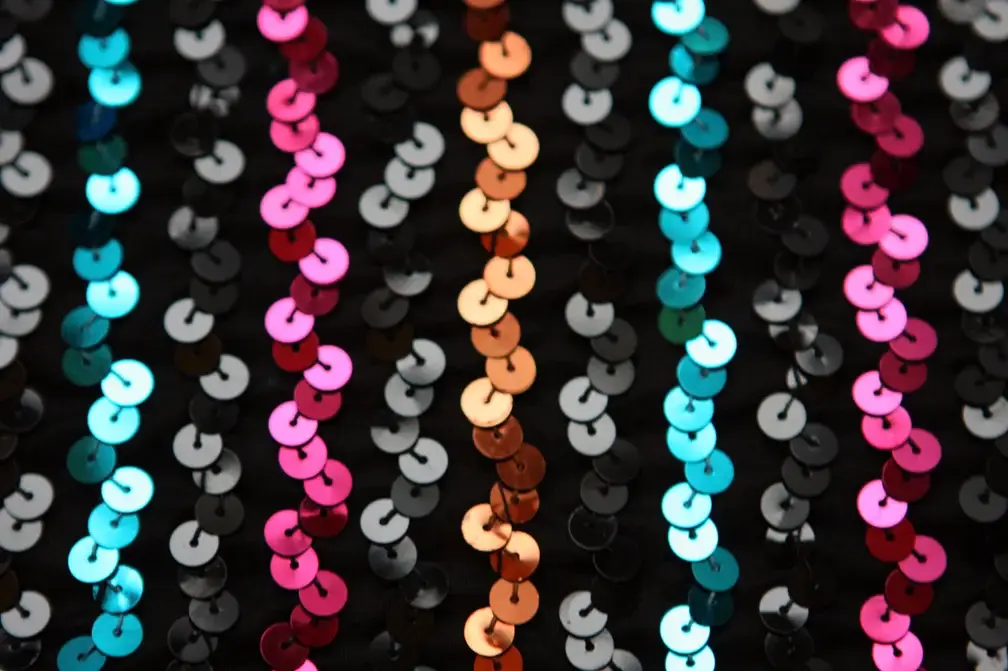 Sequins on Chiffon2