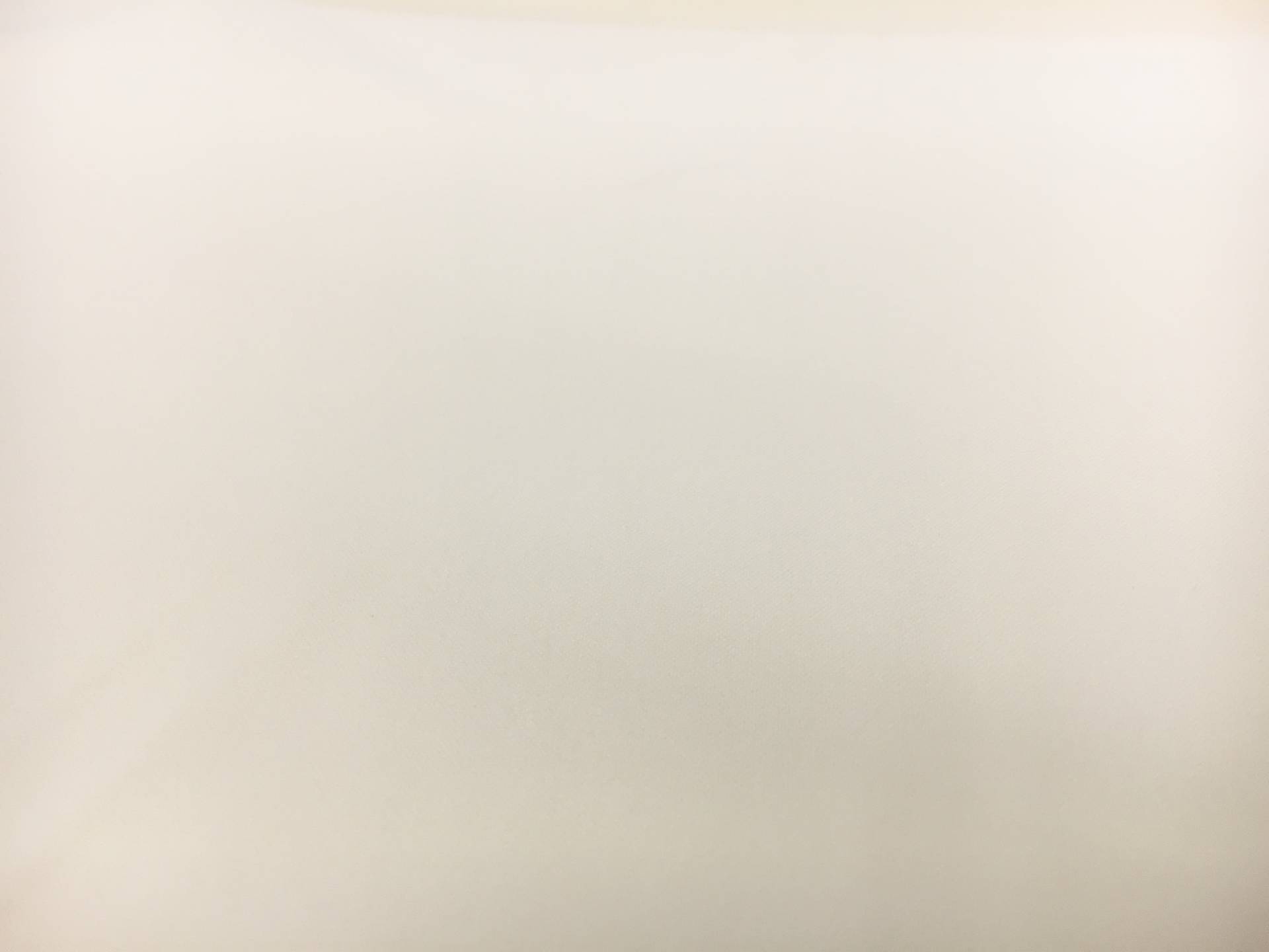 Polyester Stretch Crepe in Off White1