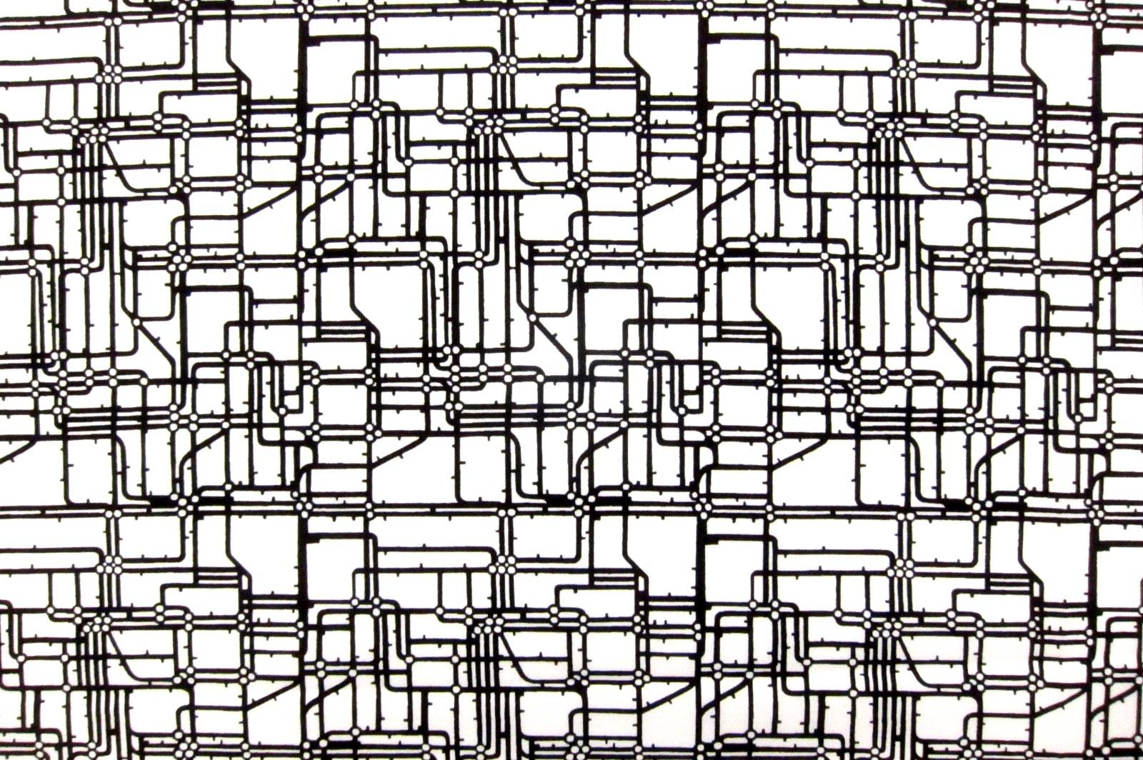 Cotton Broadcloth Print0