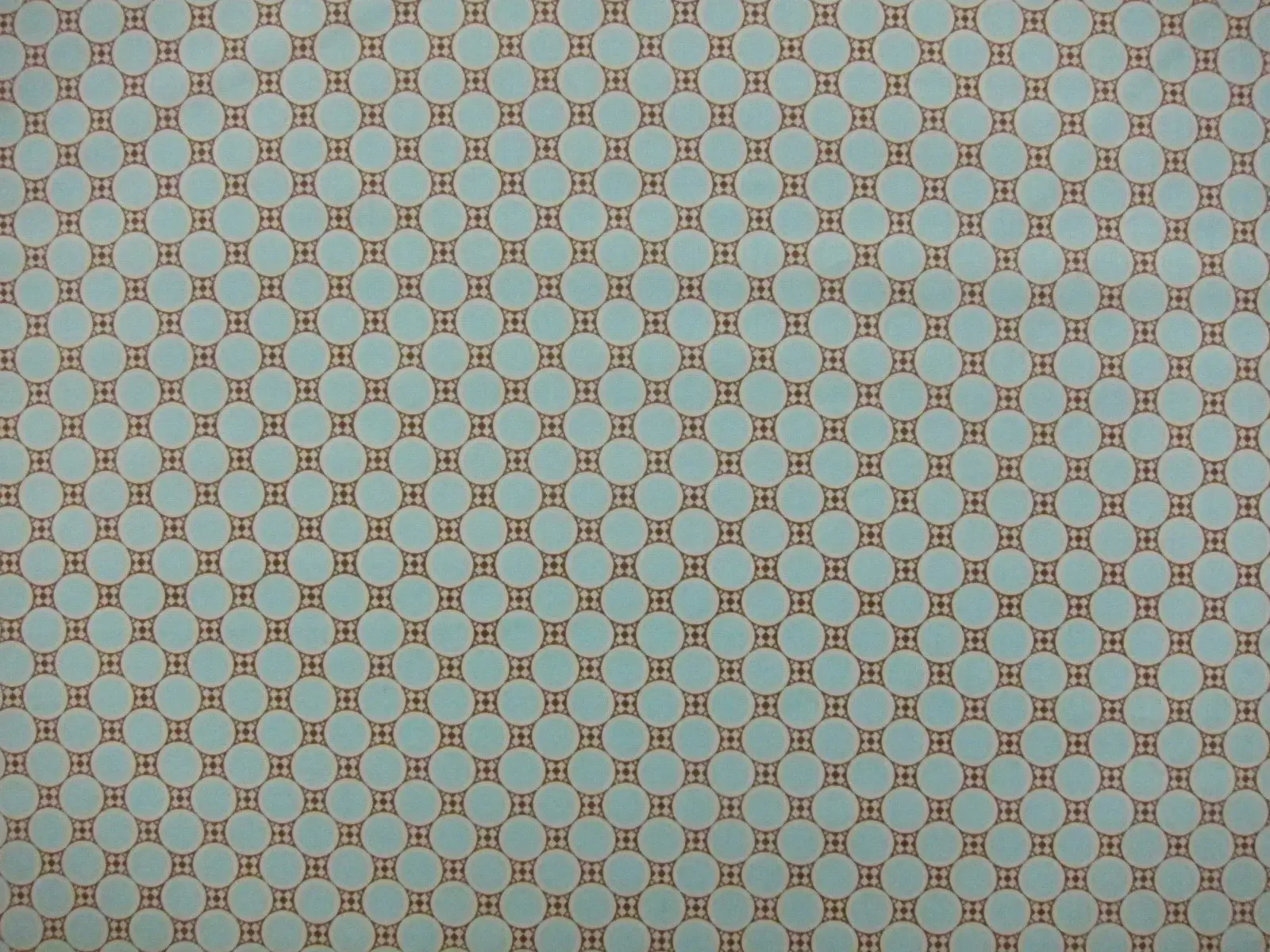 Cotton Broadcloth Print0