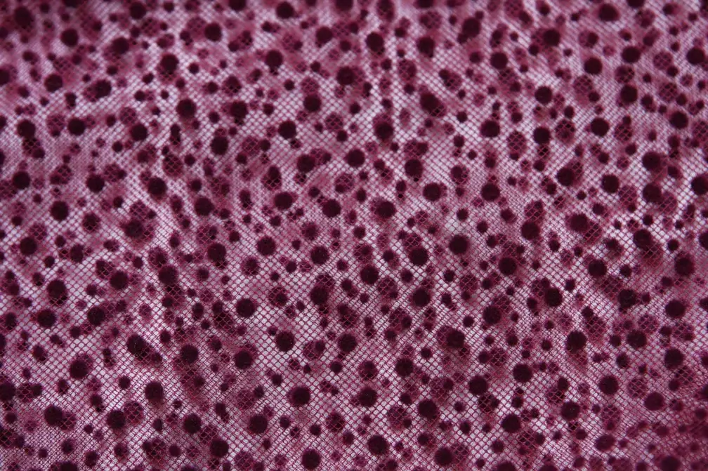 Flocking on Tulle2