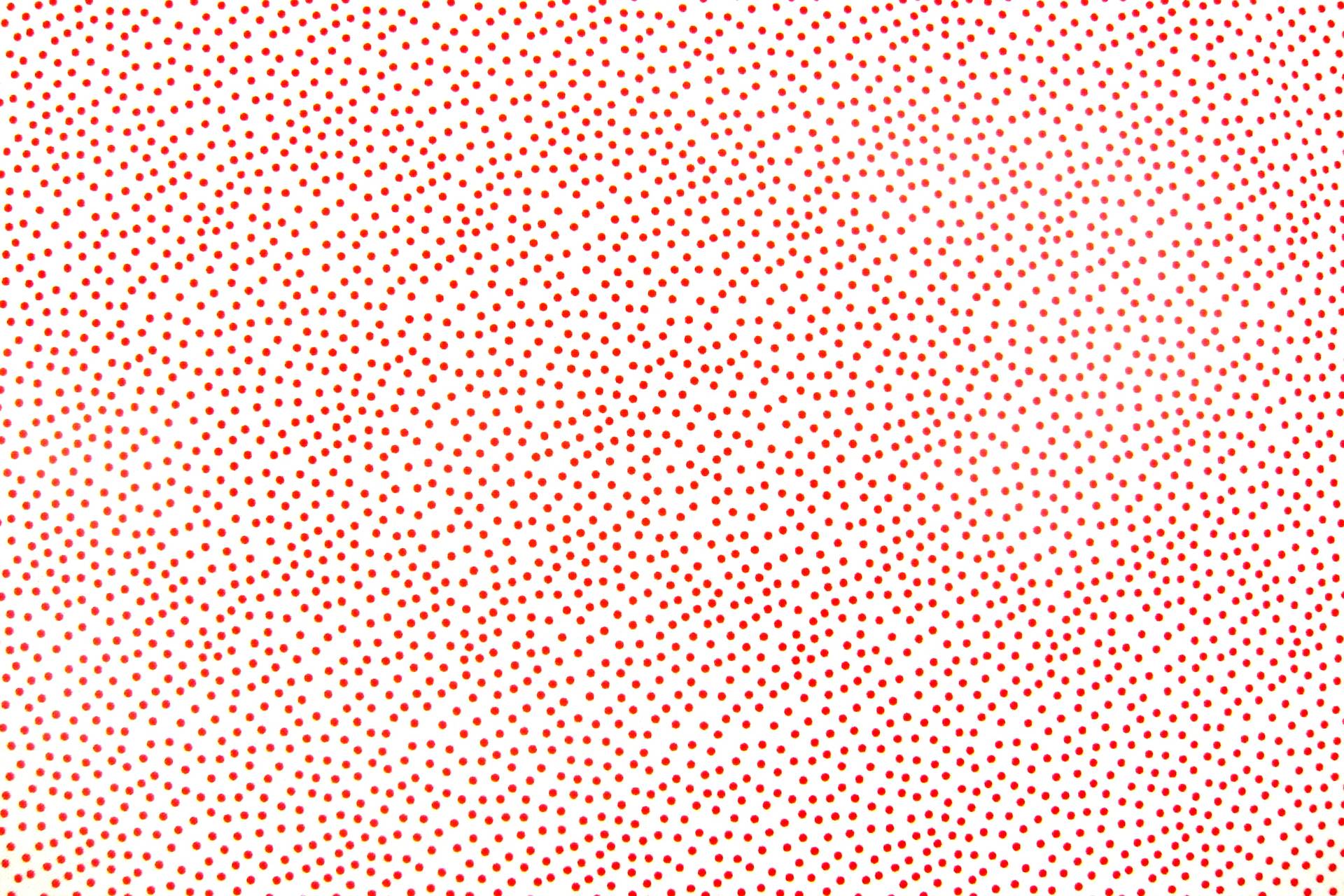 Cotton Broadcloth Print0