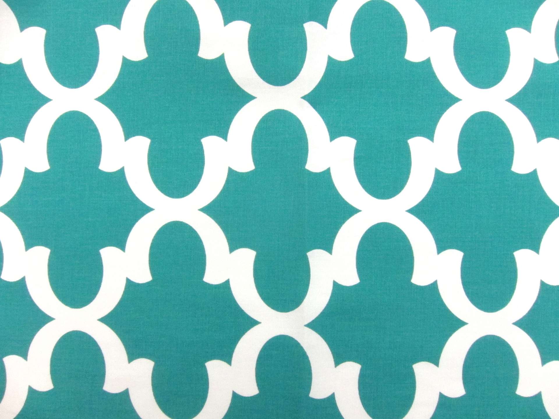 Cotton Canvas Print in Seafoam