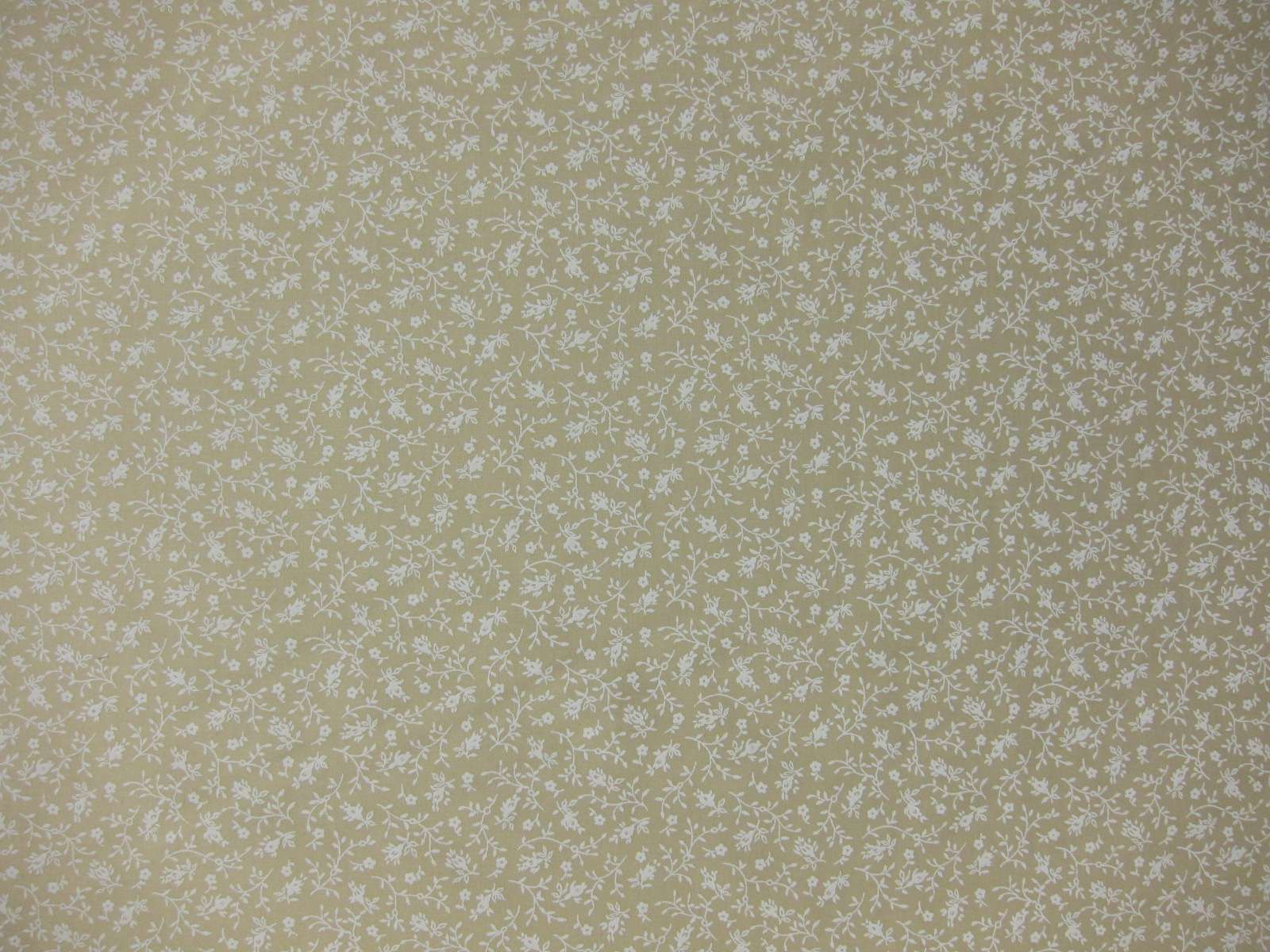 Cotton Broadcloth Print0