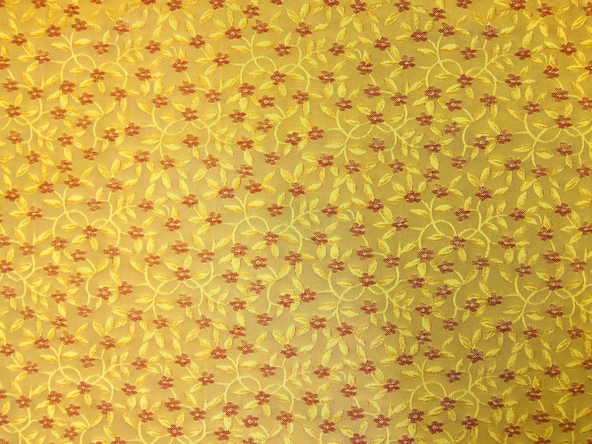 Silk Brocade0