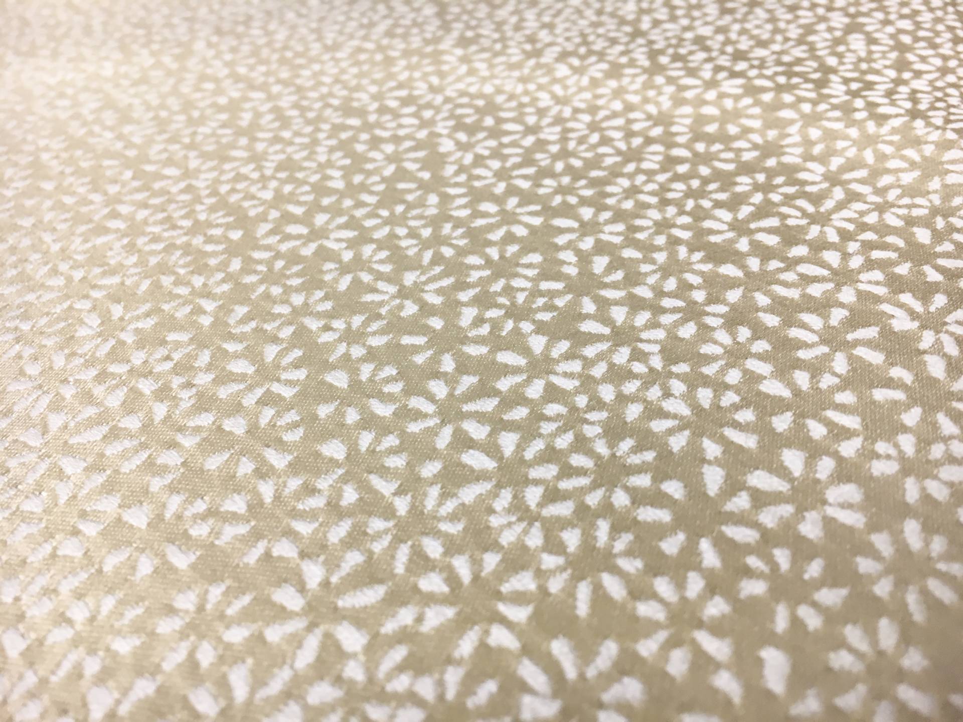 Champagne Silk Brocade 1