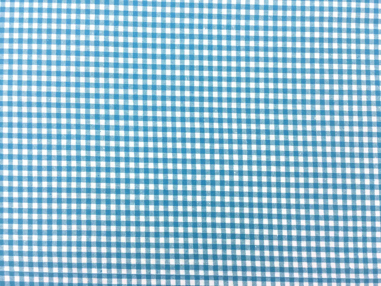 Carolina Cotton Gingham in Turquoise0
