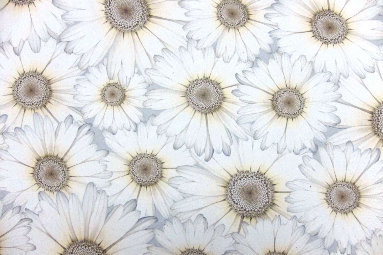 Printed Silk Chiffon0