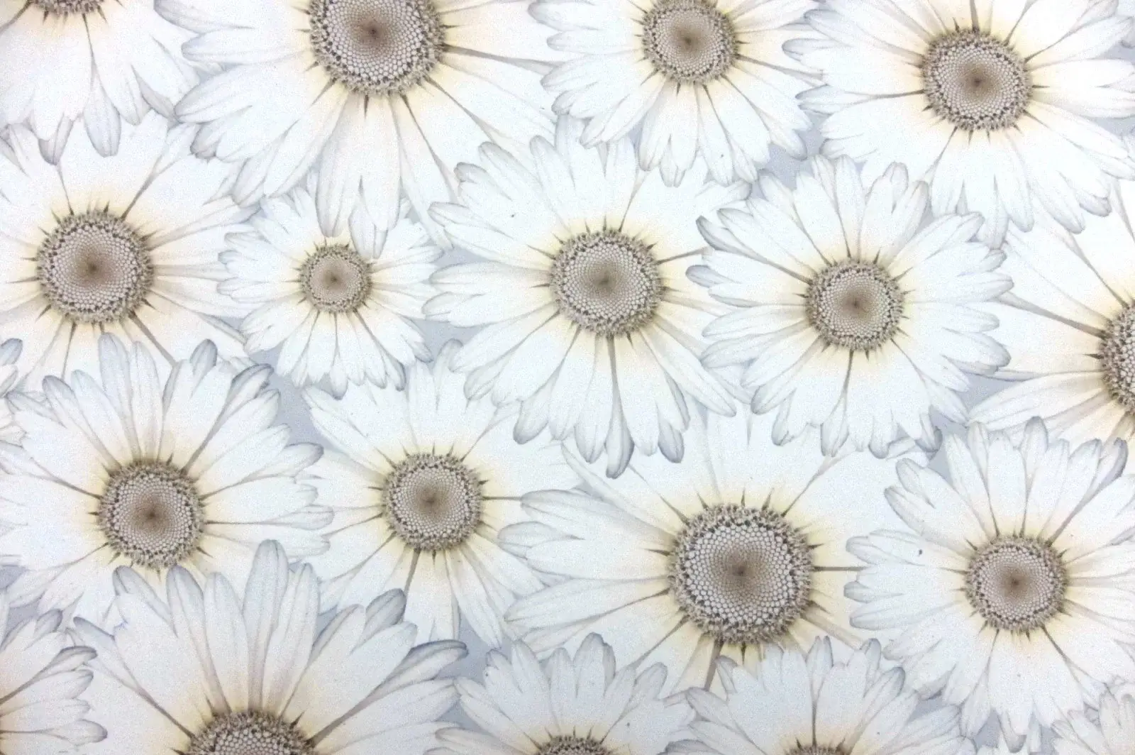Printed Silk Chiffon0