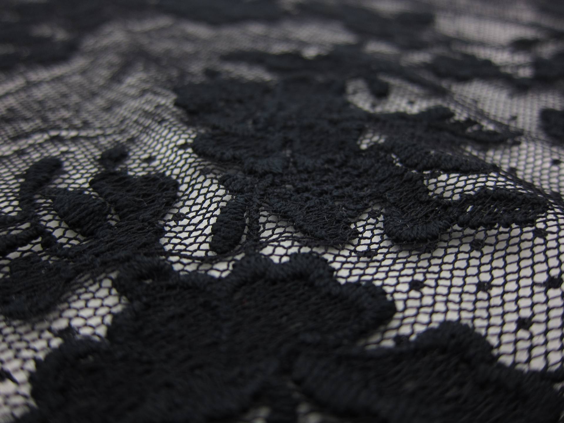 Embroidered Cotton Point D'Esprit2