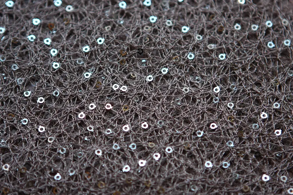 Sequins on Poly Mesh2