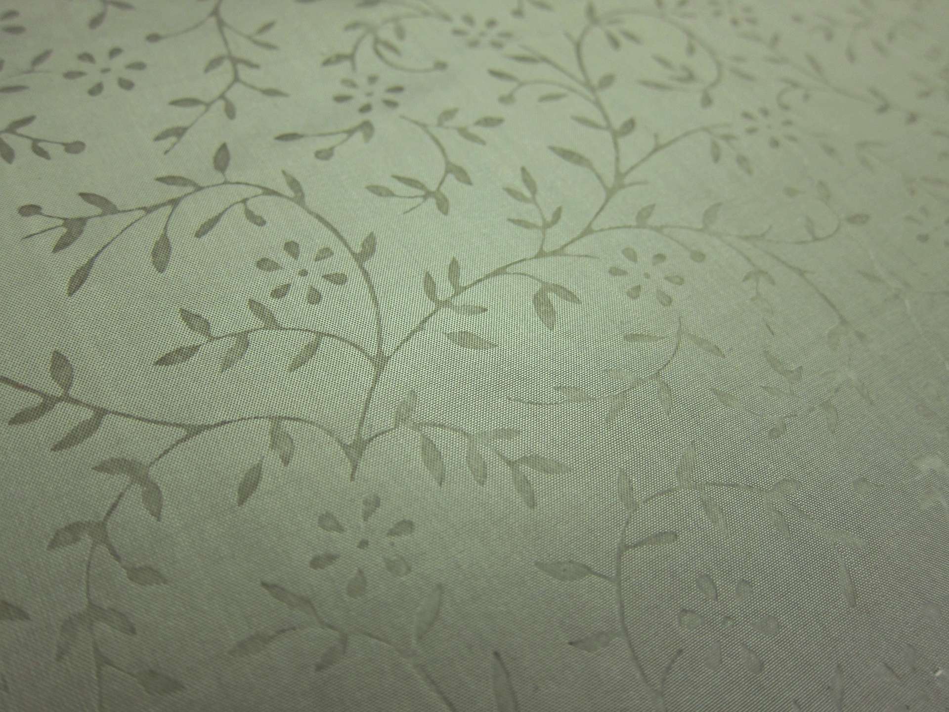 Silk Taffeta Jacquard0
