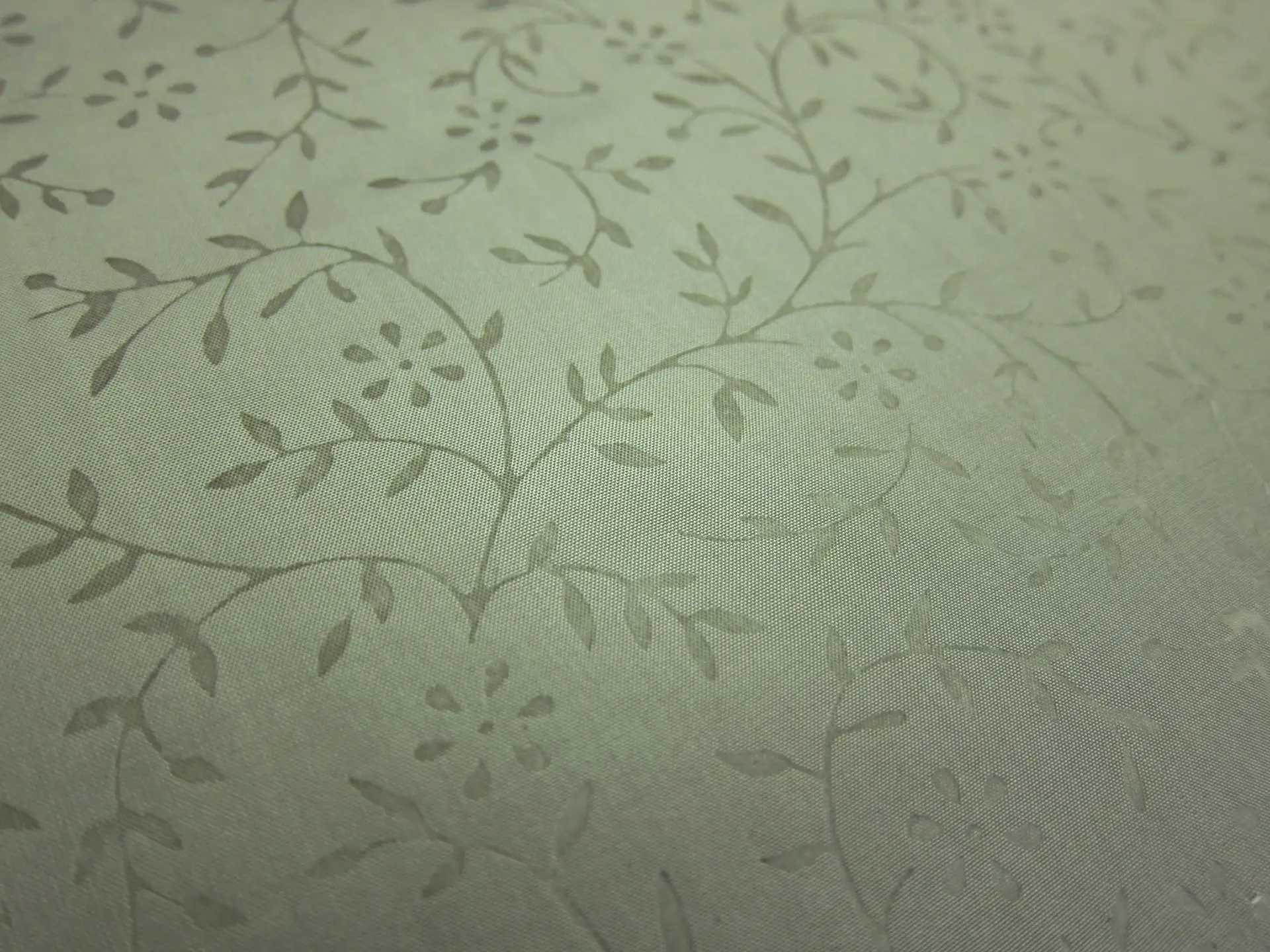 Silk Taffeta Jacquard0