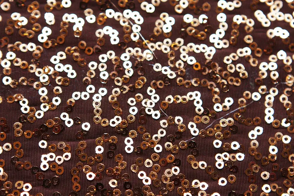 Sequined Jersey2