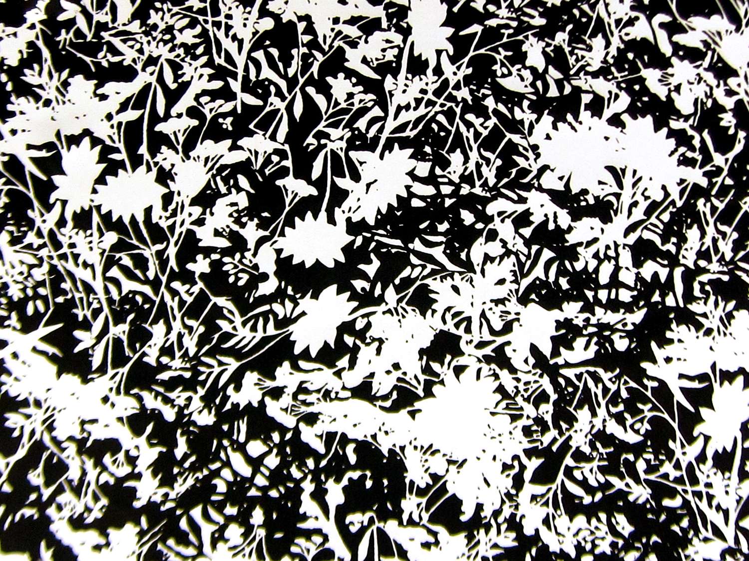 Printed Silk Charmeuse with Black and White Floral Silhouettes0